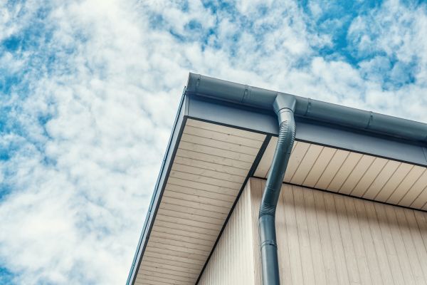 Gutter Fascia Repair in Monument