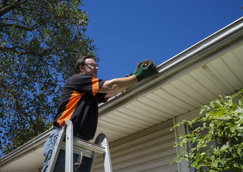 Ladder Access for Gutter Cleaning