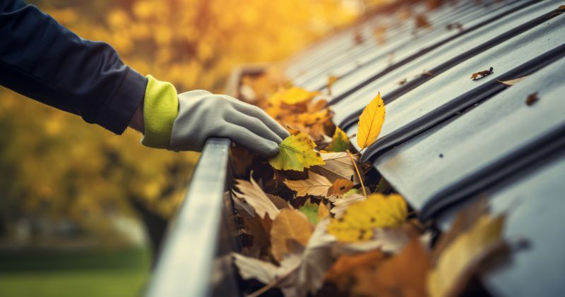 Autumn Gutter Clearing