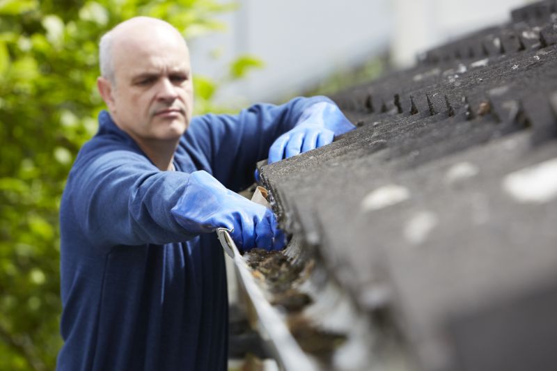 Gutter Cleaning Experts